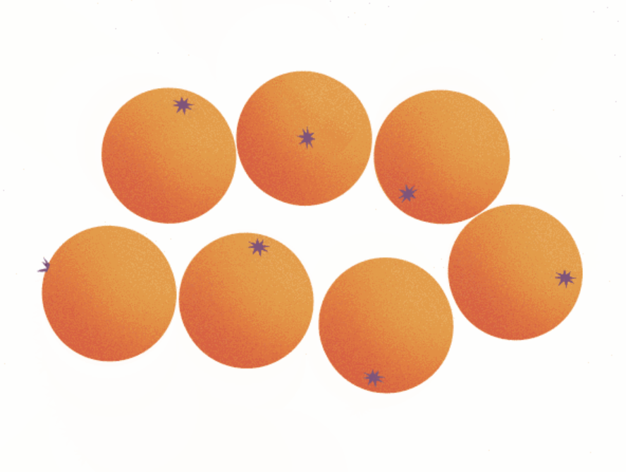 Assessing the grade and quality of fruit — on cAInvas